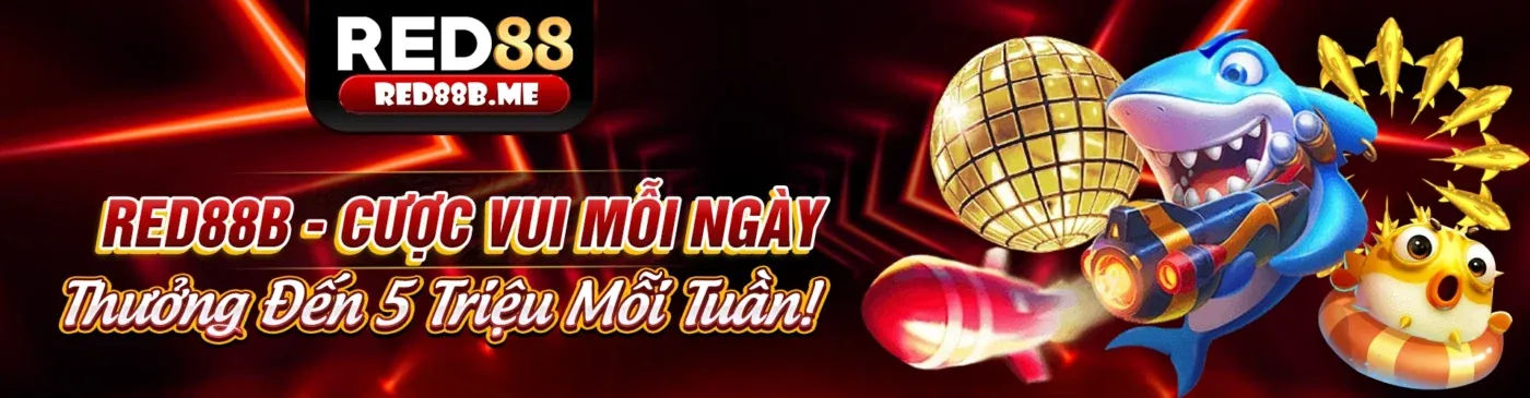 Hướng dẫn cá cược trực tuyến k8cc chính thức cho người mới bắt đầu